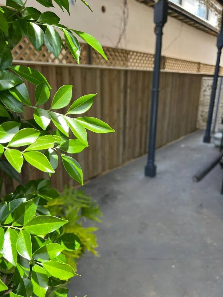 Fence repair near chatswood