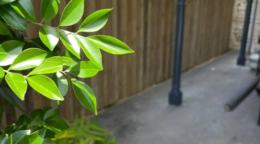 Fence repair near chatswood