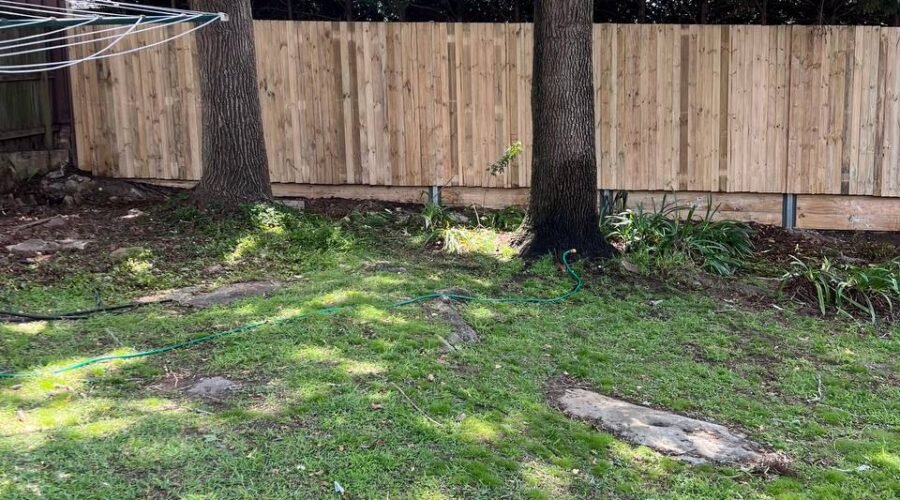 timber fence replace