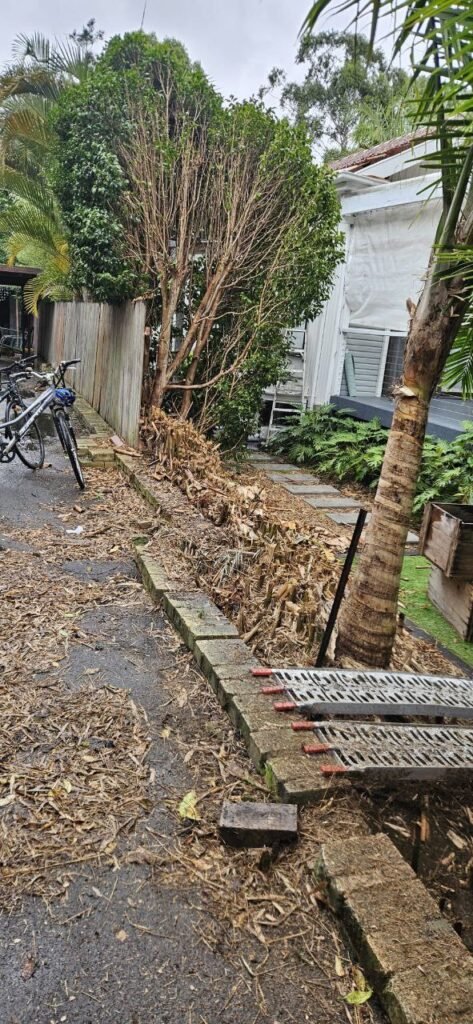 before fence installation north sydney