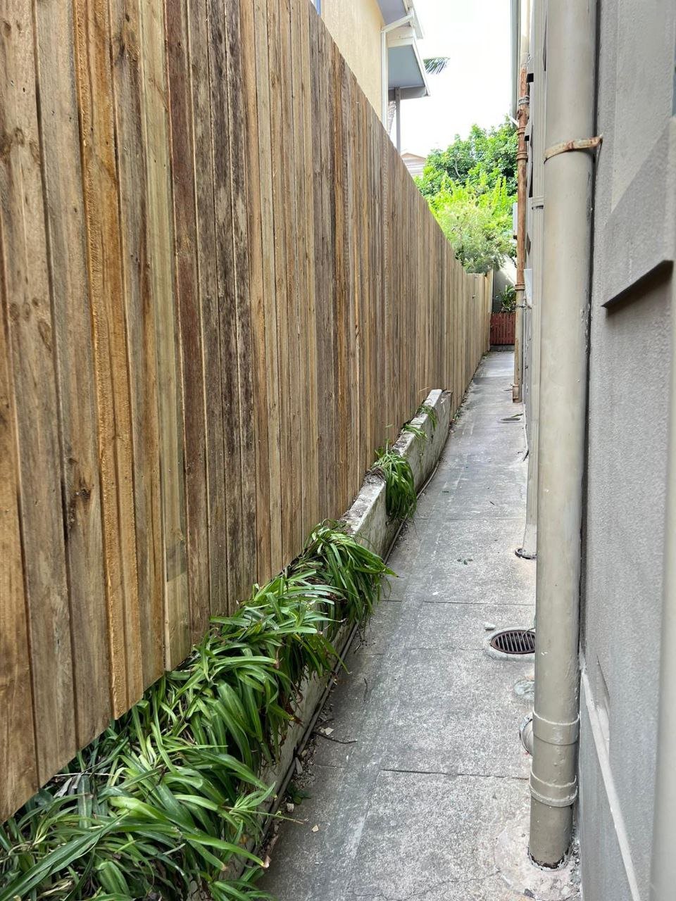 Fence Repair near Chatswood Blog Post