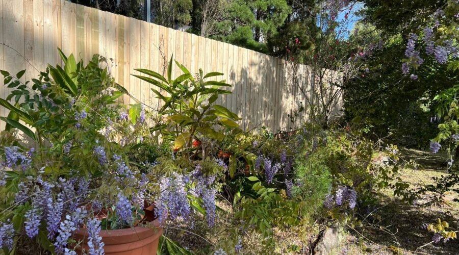 affordable timber fencing Sydney