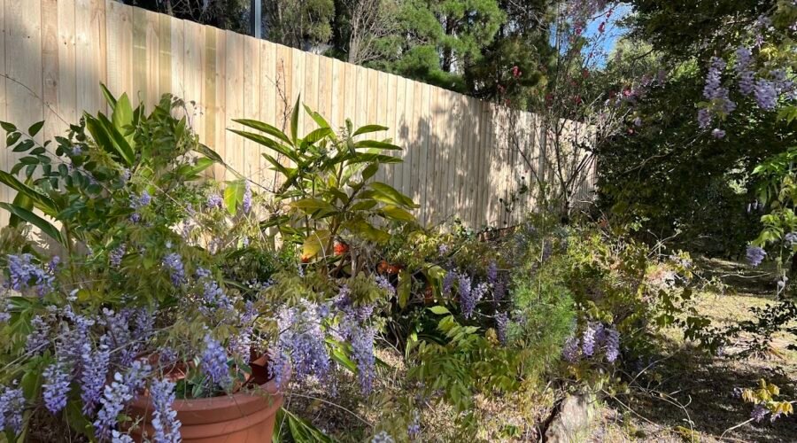single paling fence Sydney