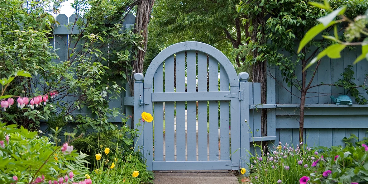 Gate and Fence painting services and companies near me in Sydney